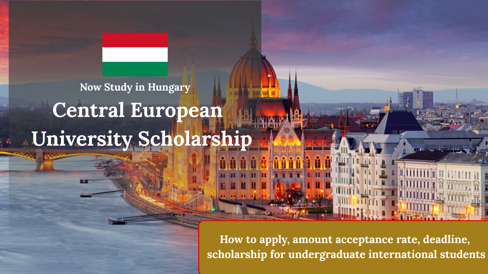 Central European University Scholarship