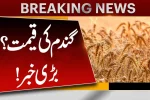 Punjab Wheat Rate 2025