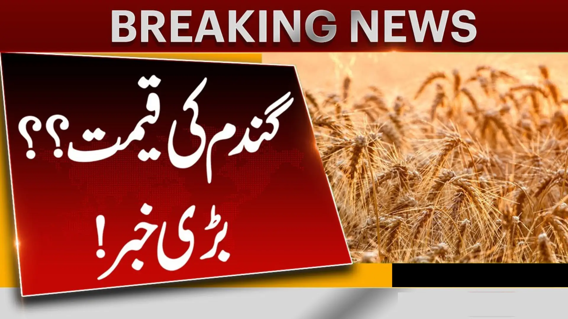 Punjab Wheat Rate 2025