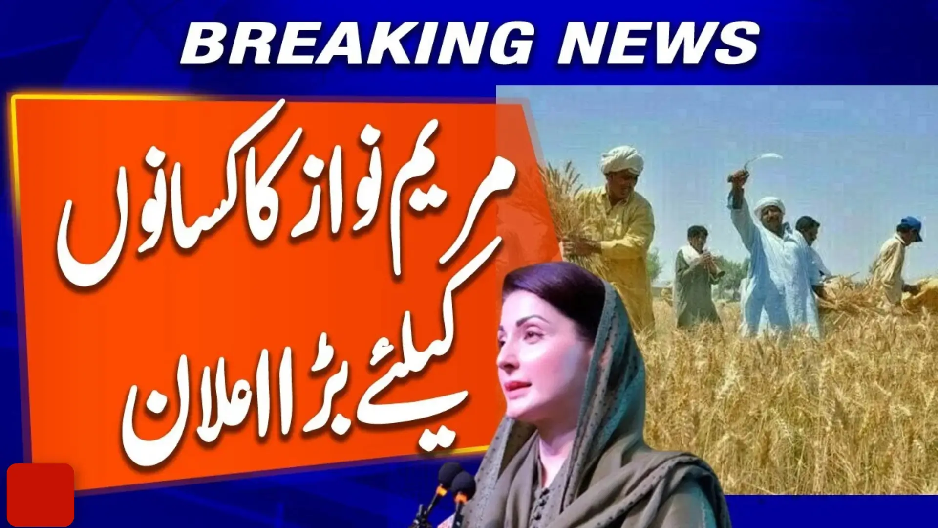 Check Kisan Card Phase 2 Status Online by CNIC